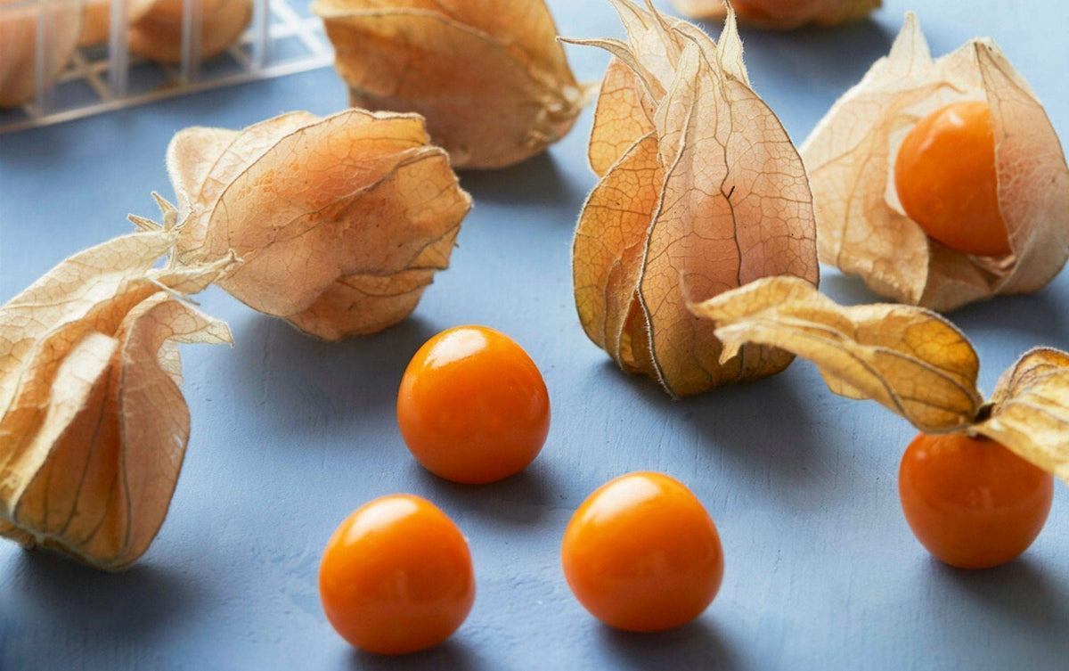 Tomatillo Husk Tomato Jamberry Kirsche Seeds for Tangy, Sweet Fruits