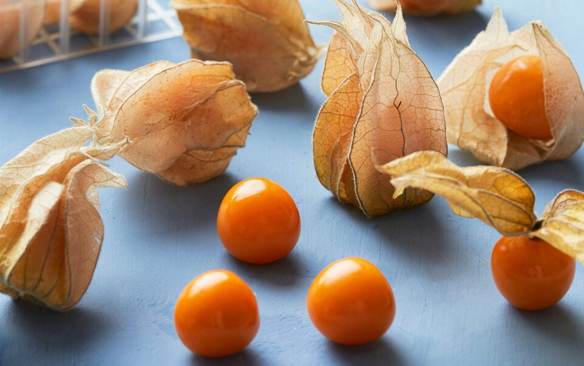Tomatillo Husk Tomato Jamberry Kirsche Seeds for Tangy, Sweet Fruits