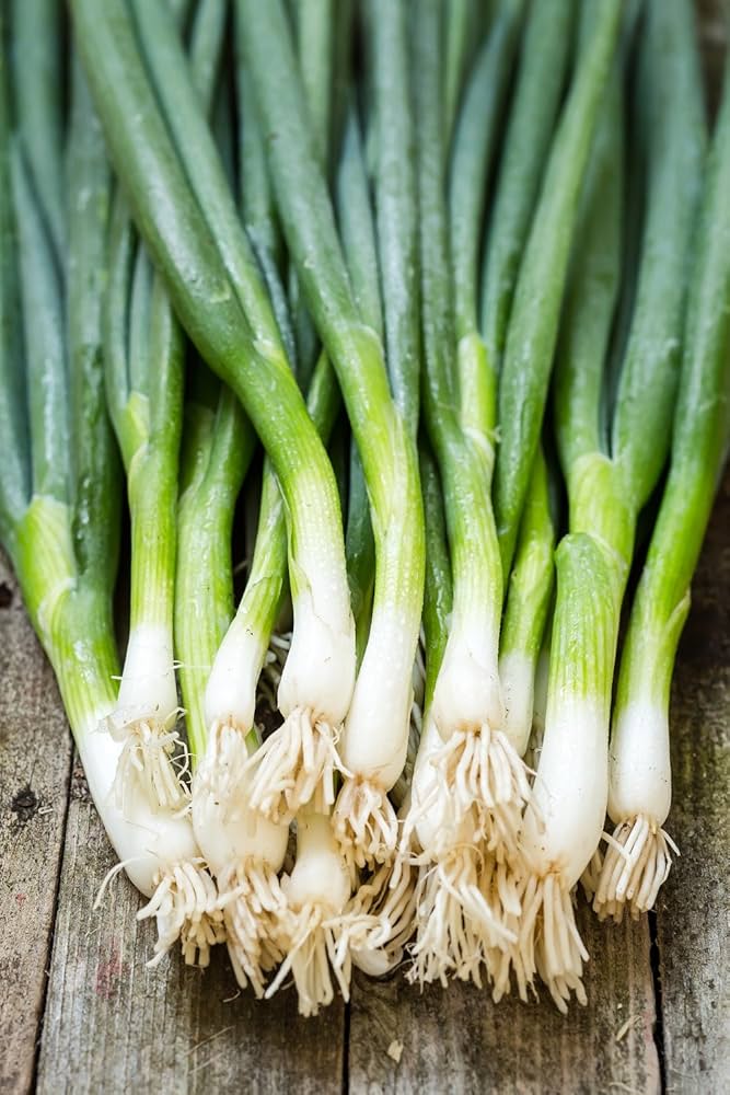 Green Fistulosum Vegetable Seeds for Easy Planting