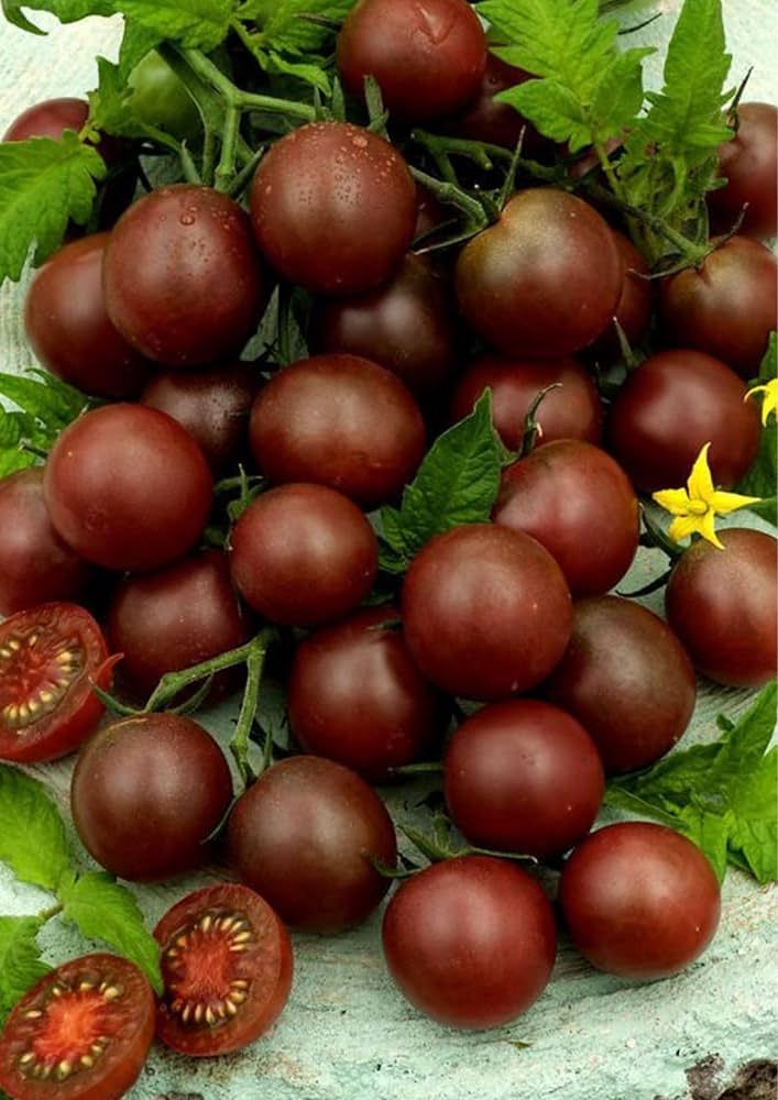 Black Cherry Tomato Seeds for Planting vegetable patch