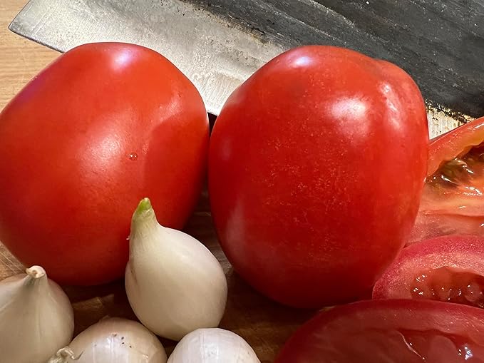 Homestead Tomato Seeds for Home-Grown Tomatoes