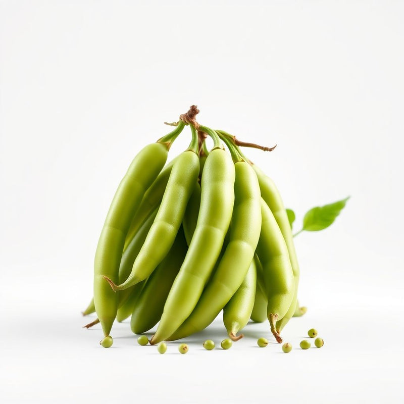 Green Appaloosa Bean Vegetable Seeds for Planting