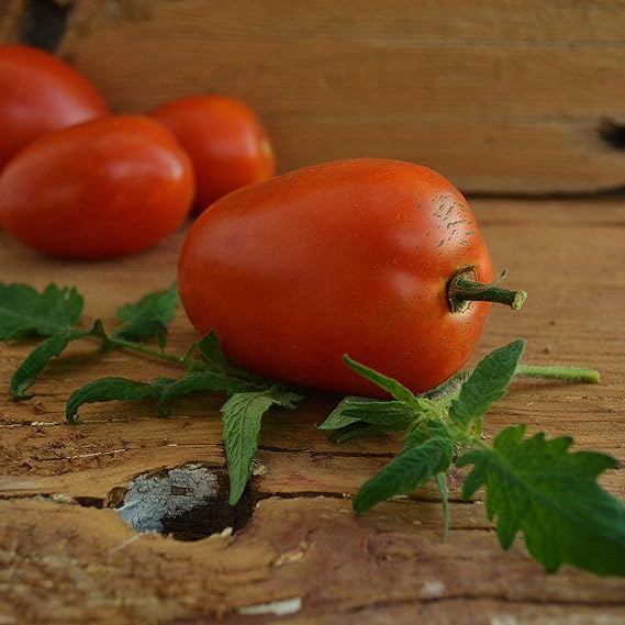 Amish Paste Heirloom Tomato Solanum lycopersicum Vegetable Seeds for Planting in Garden