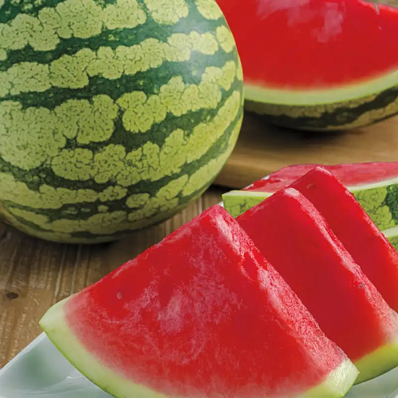 Mixed Watermelon Seeds for Planting | Grow Delicious Watermelon in Your Garden
