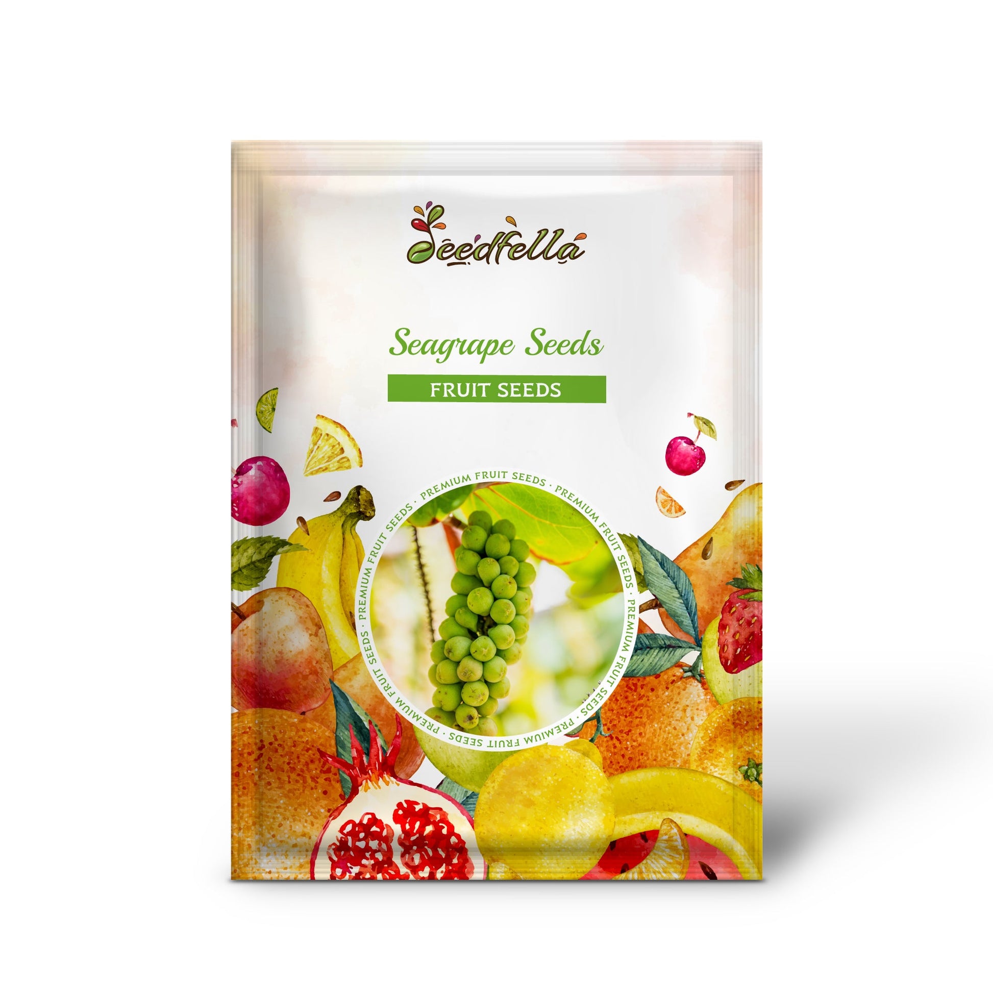 Seagrape Seeds for Easy Planting  Grow Your Own Seagrape Fruit