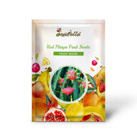 Red Pitaya Fruit Seeds for Easy Planting