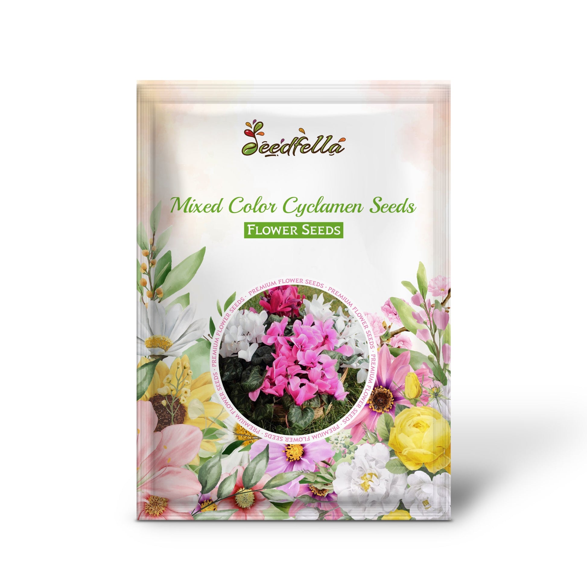 Mixed Color Cyclamen Seeds for Planting  Vibrant Flower Seeds for Your Garden