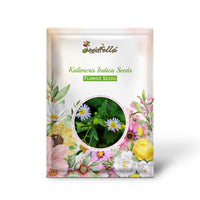 Kalimeris Indica Seeds for Planting  Grow Your Own Garden Flowers