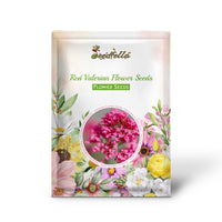 Red Valerian Flower Seeds for Planting - Vibrant Perennial Blooms
