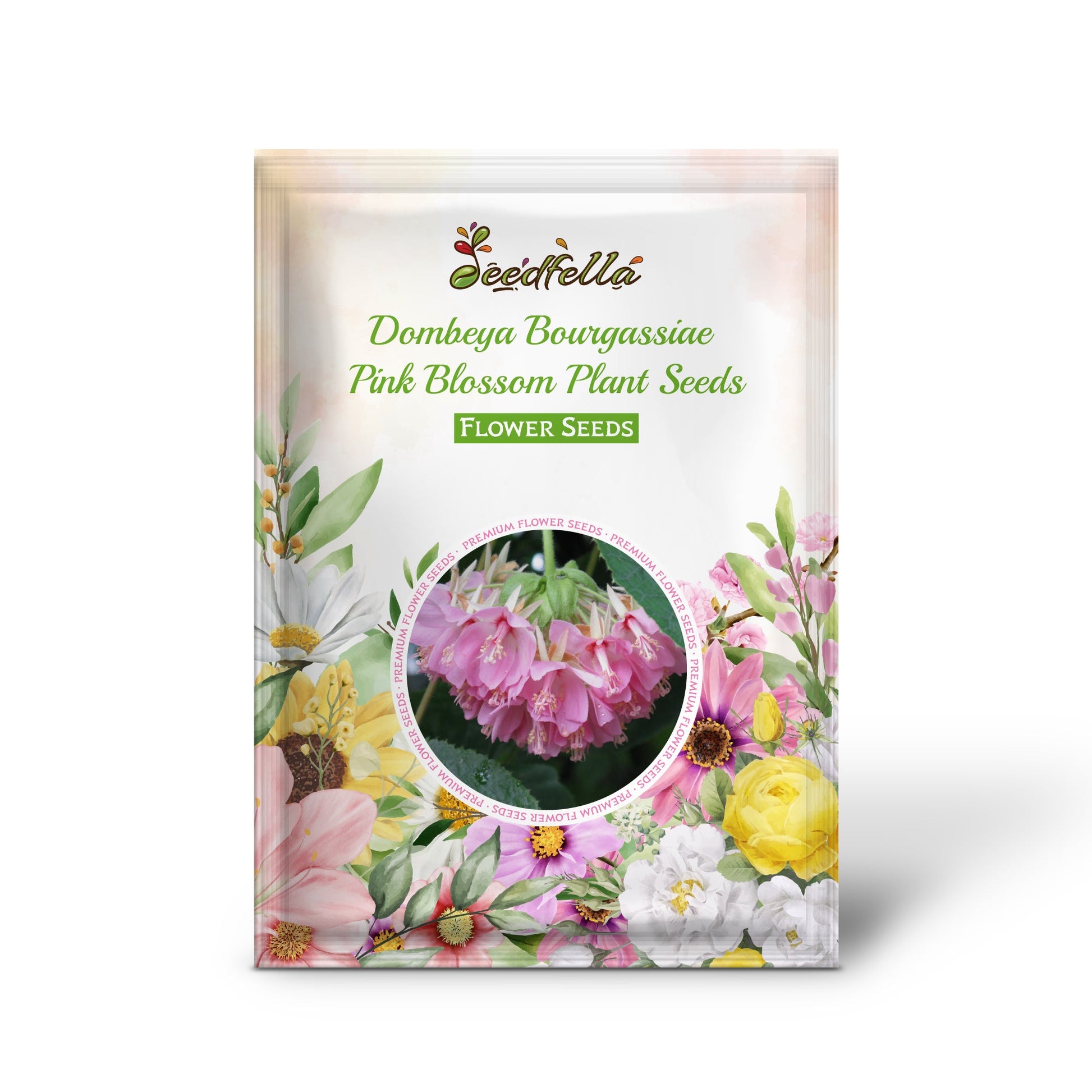 Dombeya Bourgassiae Pink Blossom Plant Seeds for Planting