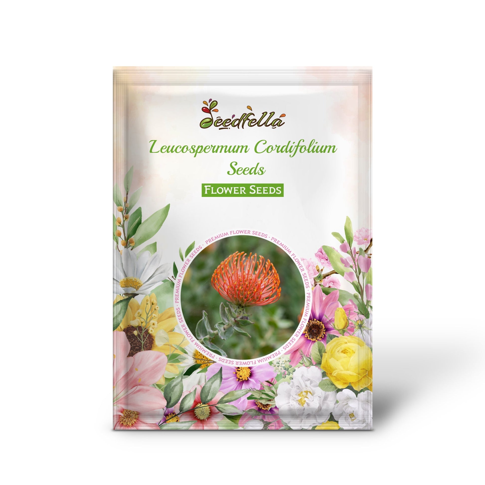 Leucospermum Cordifolium Seeds for Planting - Premium Flower Seeds for Vibrant Blooms
