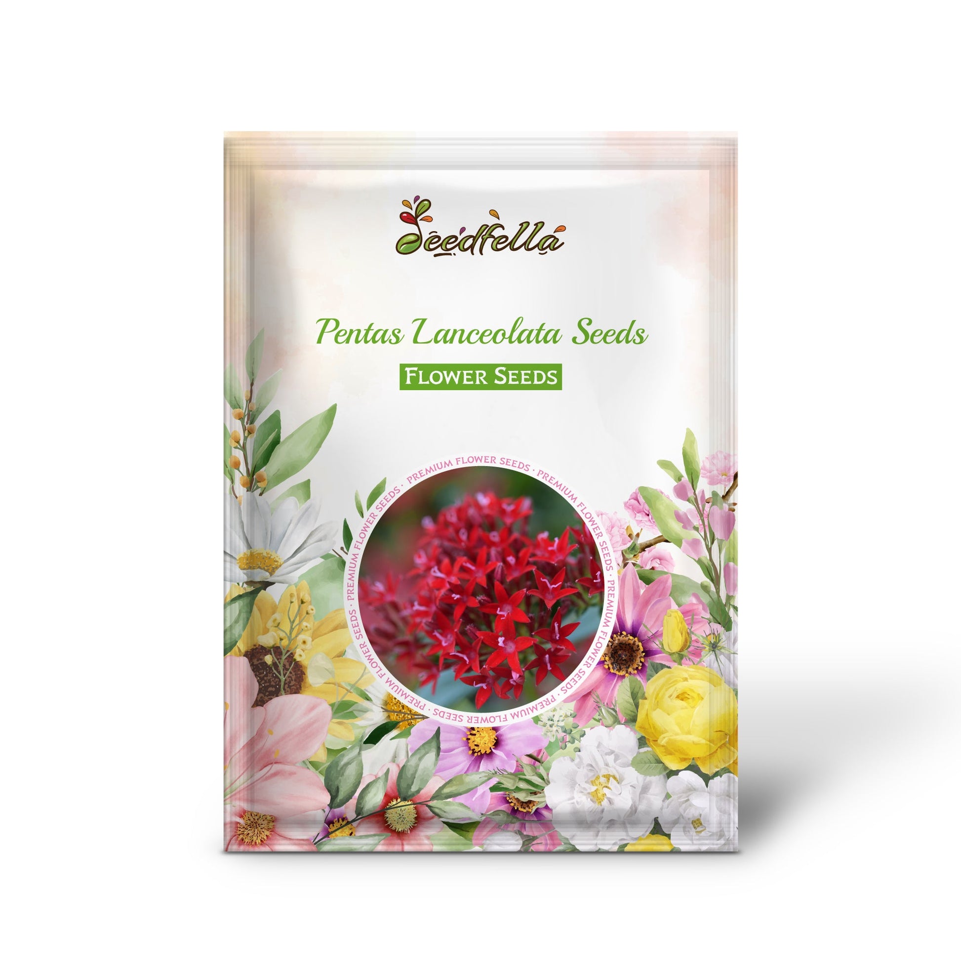 Pentas Lanceolata Seeds for Planting  Attract Butterflies with Stunning Blooms