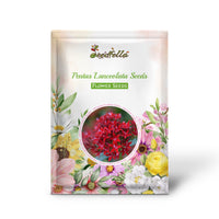Pentas Lanceolata Seeds for Planting  Attract Butterflies with Stunning Blooms
