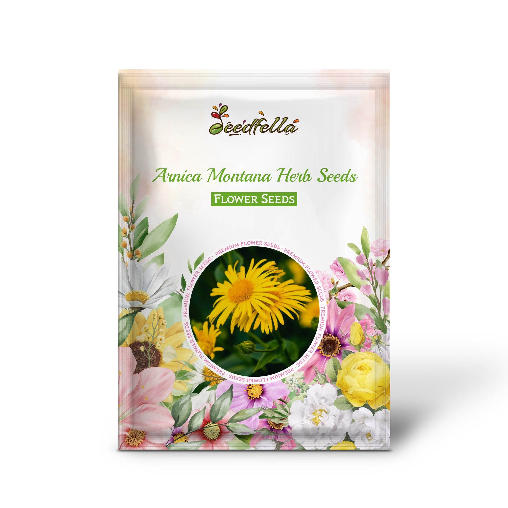 Arnica Montana Herb Seeds for Planting