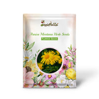 Arnica Montana Herb Seeds for Planting