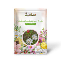 Dalea Pinnata Flower Seeds for Planting  Enhance Your Garden with Stunning Blooms