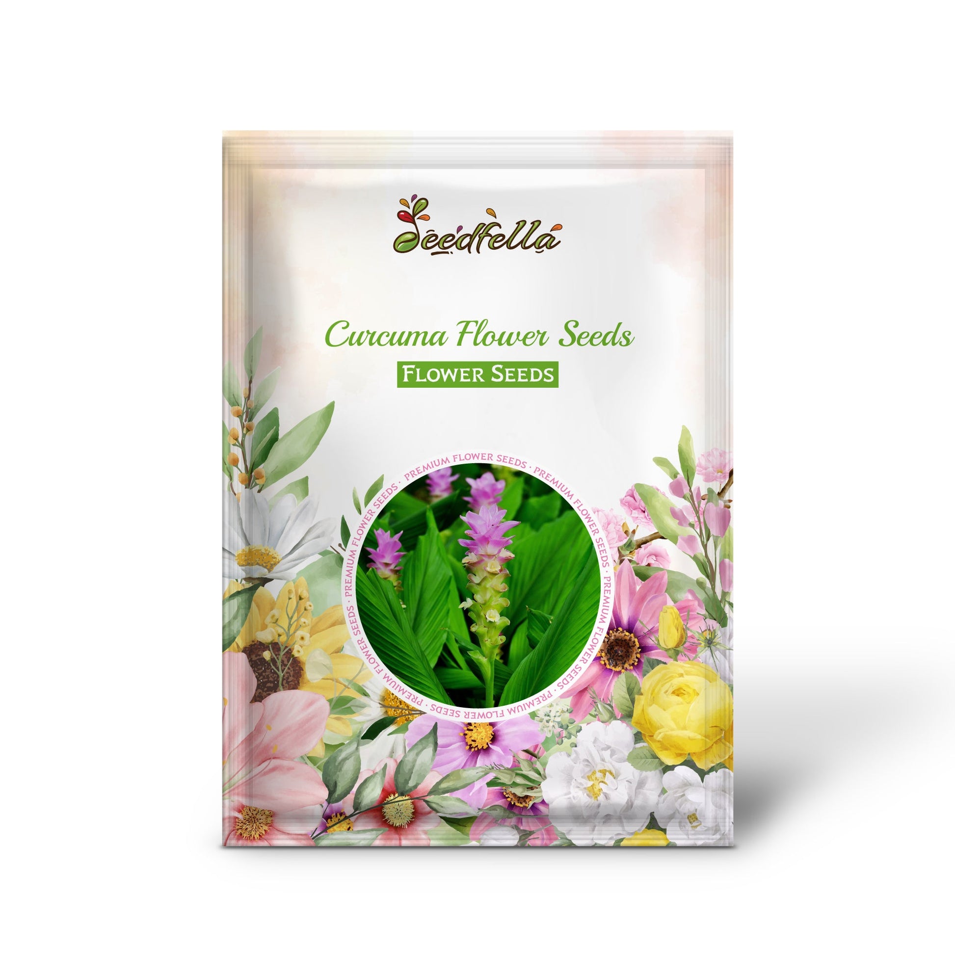 Curcuma Flower Seeds for Planting - Stunning Pink Blooms