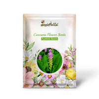 Curcuma Flower Seeds for Planting - Stunning Pink Blooms