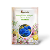 Beautiful Blue Marigold Flower Seeds for Your Home Garden