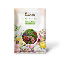 Golden Camellia Flower Seeds for Planting - Premium Quality Seeds for Your Garden