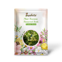 Plant American Basswood Seeds  Ideal for Gardening