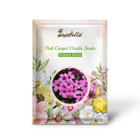 Pink Carpet Oxalis Seeds for Planting - Vibrant Perennial Flowers for Your Garden