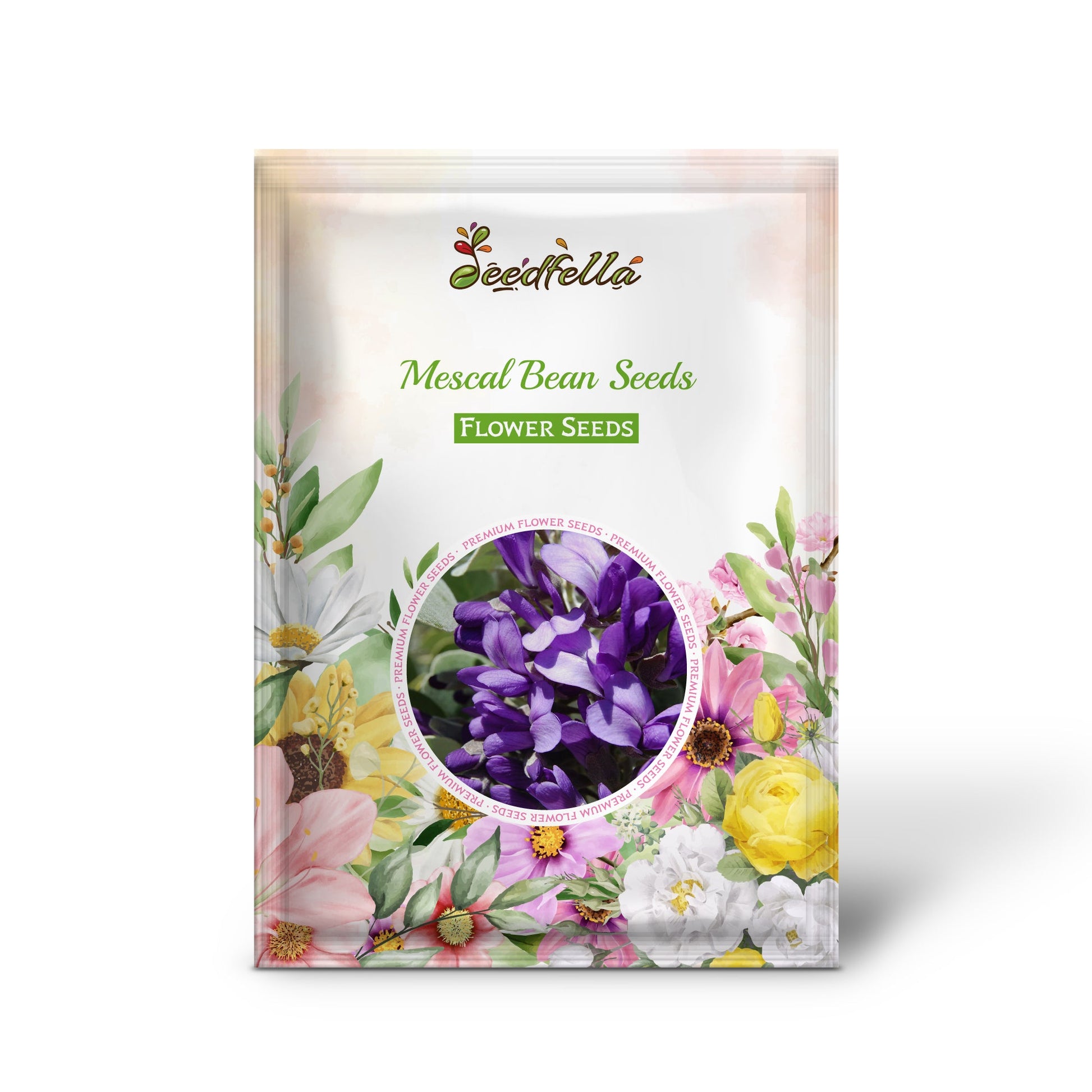 Mescal Bean Seeds for Planting - Texas Mountain Laurel