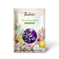 Mescal Bean Seeds for Planting - Texas Mountain Laurel
