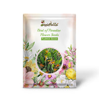Bird of Paradise Flower Seeds - Exotic Garden Plant for Spring and Summer Planting