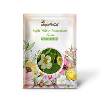 Light Yellow Nasturtium Seeds for Easy Planting – Beautiful Blooms