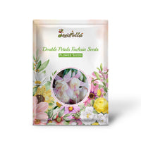 Double Petals Fuchsia Seeds for Planting | Cream Red Flower Seeds for Vibrant Gardens