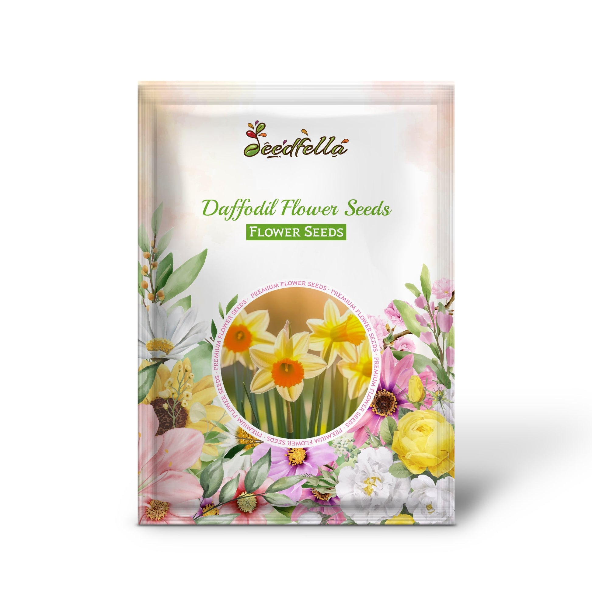 Daffodil Flower Seeds for Planting  Vibrant White and Yellow Blooms