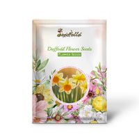 Daffodil Flower Seeds for Planting  Vibrant White and Yellow Blooms