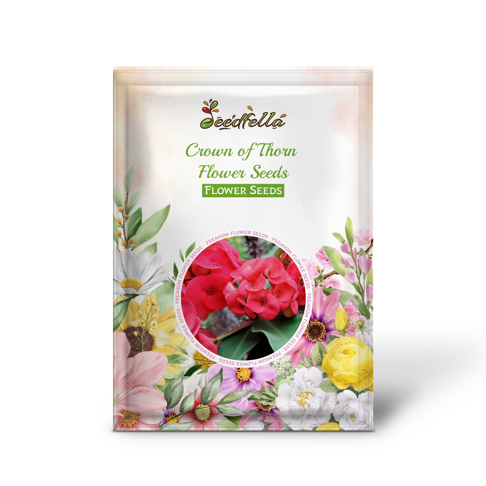 Crown of Thorn Flower Seeds  Easy Planting for Vibrant Blooms
