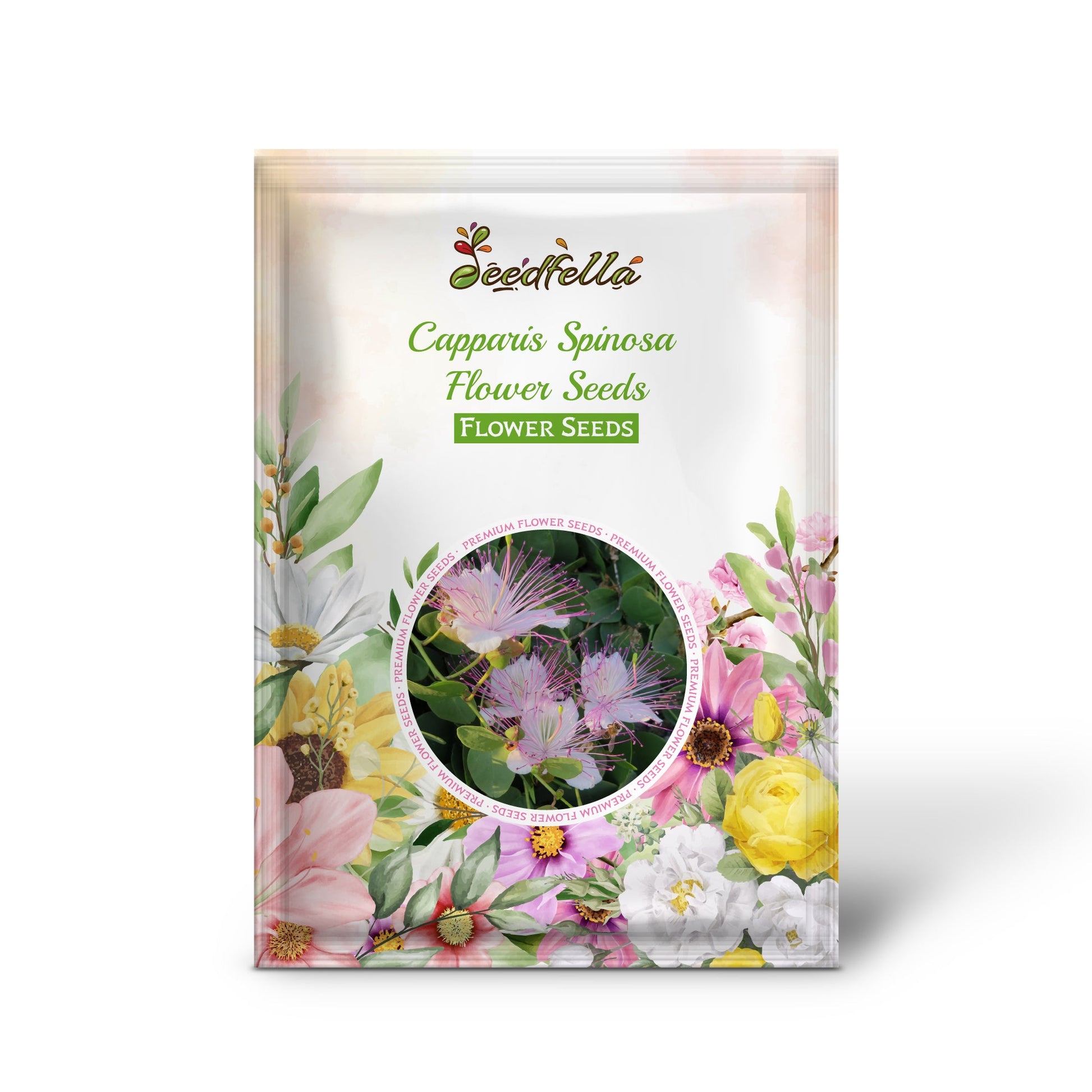 Capparis Spinosa Flower Seeds for Planting - Perennial Flower Seeds for Stunning Blooms