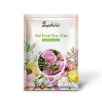 Pink Death Rose Seeds for Spring Planting