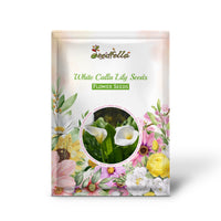 White Calla Lily Seeds for Planting