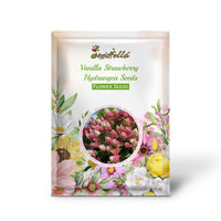 Vanilla Strawberry Hydrangea Seeds for Planting - Beautiful Blooms for Your Garden