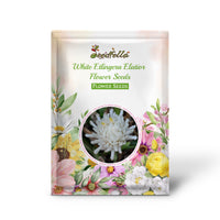White Etlingera Elatior Flower Seeds for Planting  Tropical Beauty