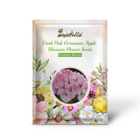 Dark Pink Geranium Apple Blossom Flower Seeds for Planting