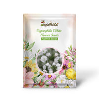 Gypsophila White Flower Seeds for Planting - Perfect for Beautiful Bouquets