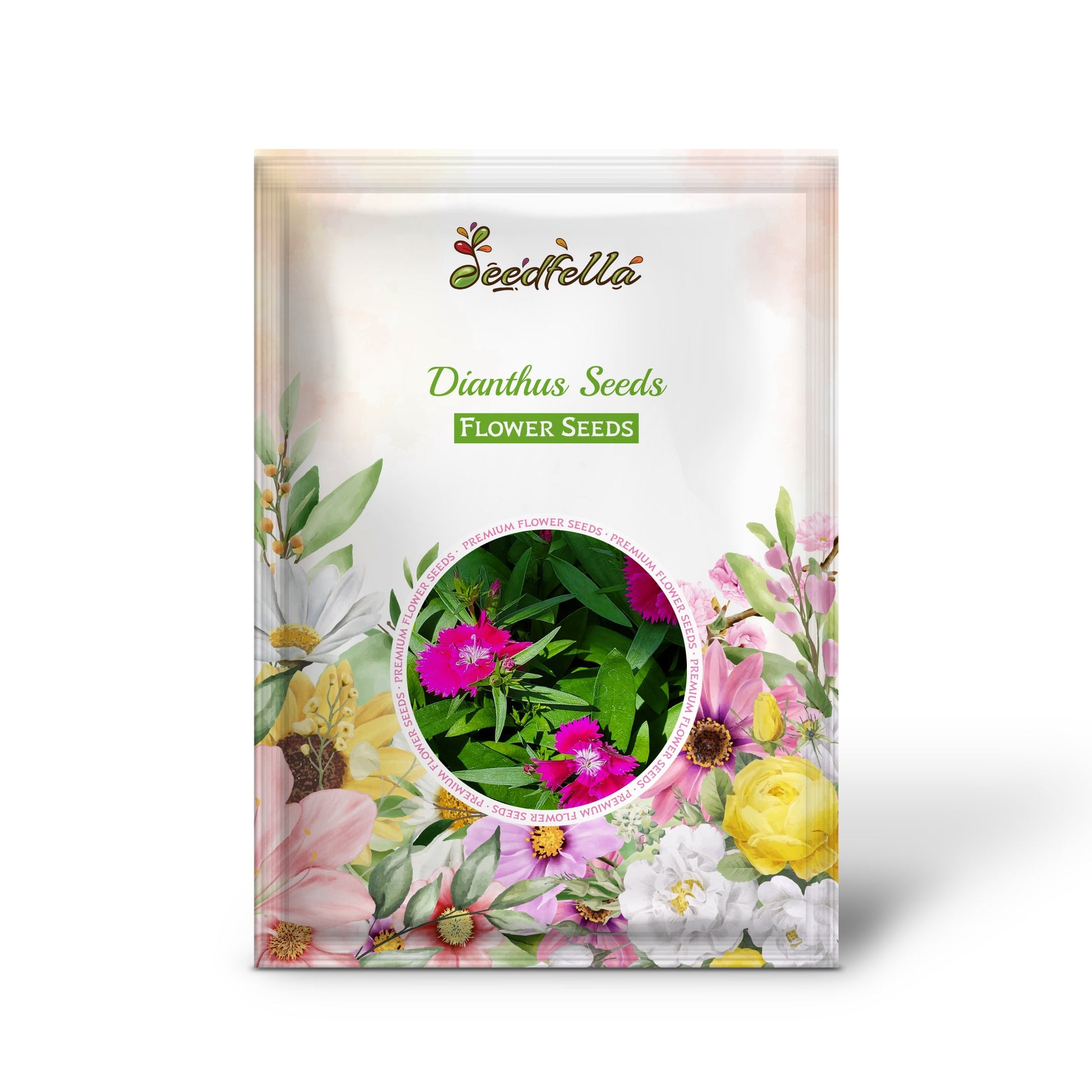 Dianthus Seeds  Grow Vibrant Flowers in Your Garden