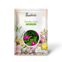Dianthus Seeds  Grow Vibrant Flowers in Your Garden