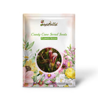 Candy Cane Sorrel Seeds for Planting  Vibrant, Easy-to-Grow Perennial Garden Plant