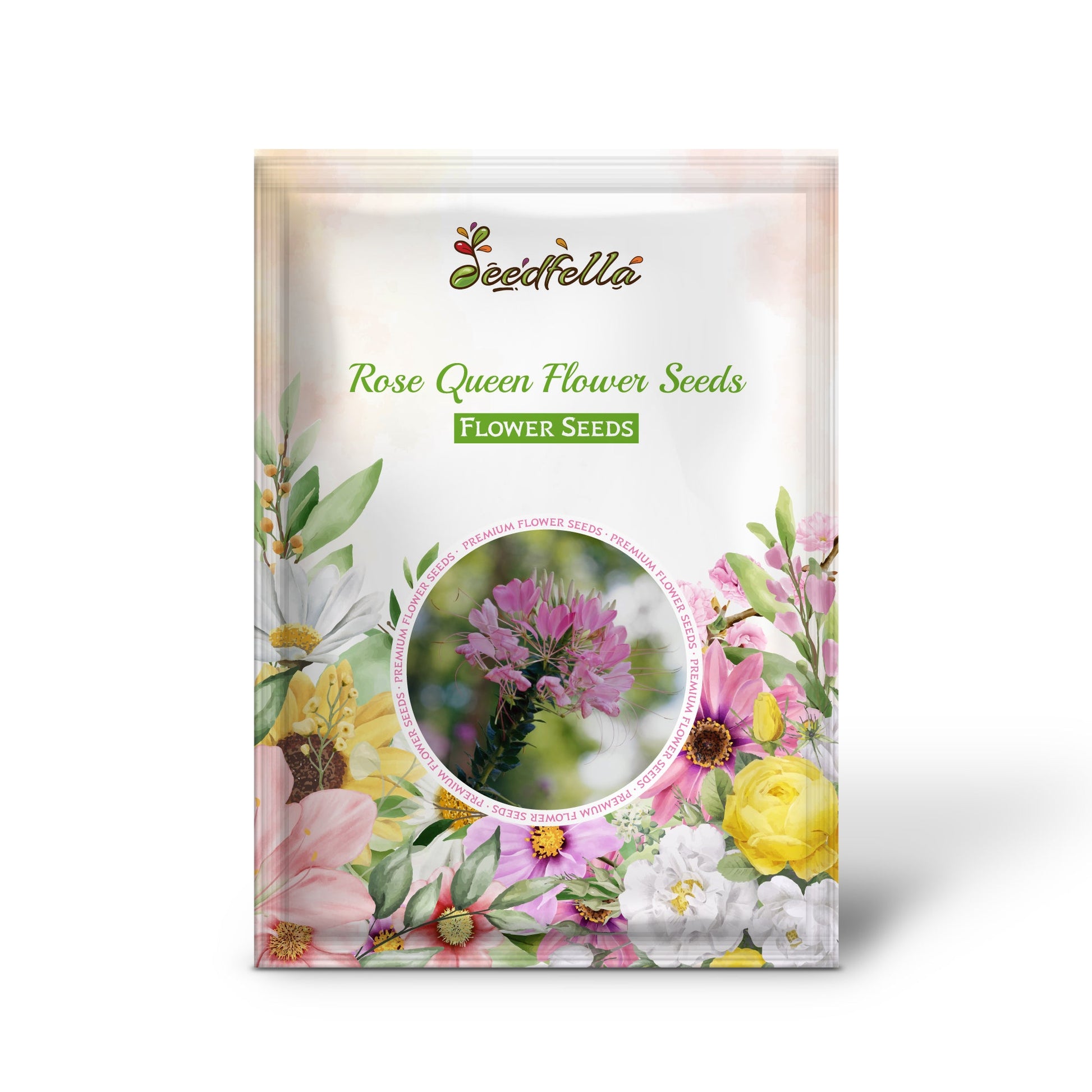Rose Queen Flower Seeds for Planting  Enhance Your Garden with Vibrant Blooms