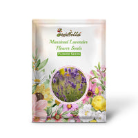 Munstead Lavender Flower Seeds for Planting - Grow Beautiful Lavender in Your Garden