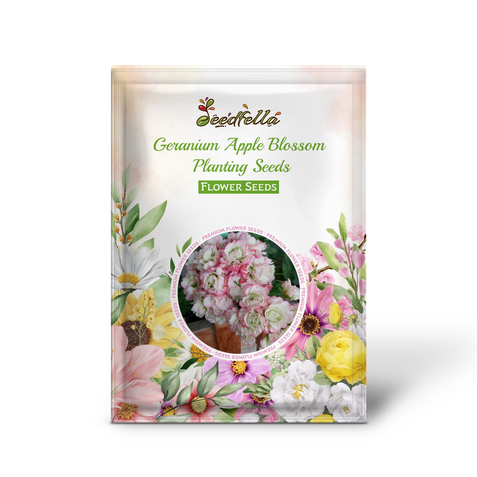 Geranium Apple Blossom Planting Seeds for Vibrant Garden Blooms