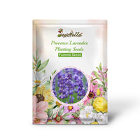 Provence Lavender Planting Seeds - Grow Elegant Perennial Flowers
