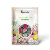 Caladium Mix Seeds for Planting  Vibrant Foliage for Garden and Indoors