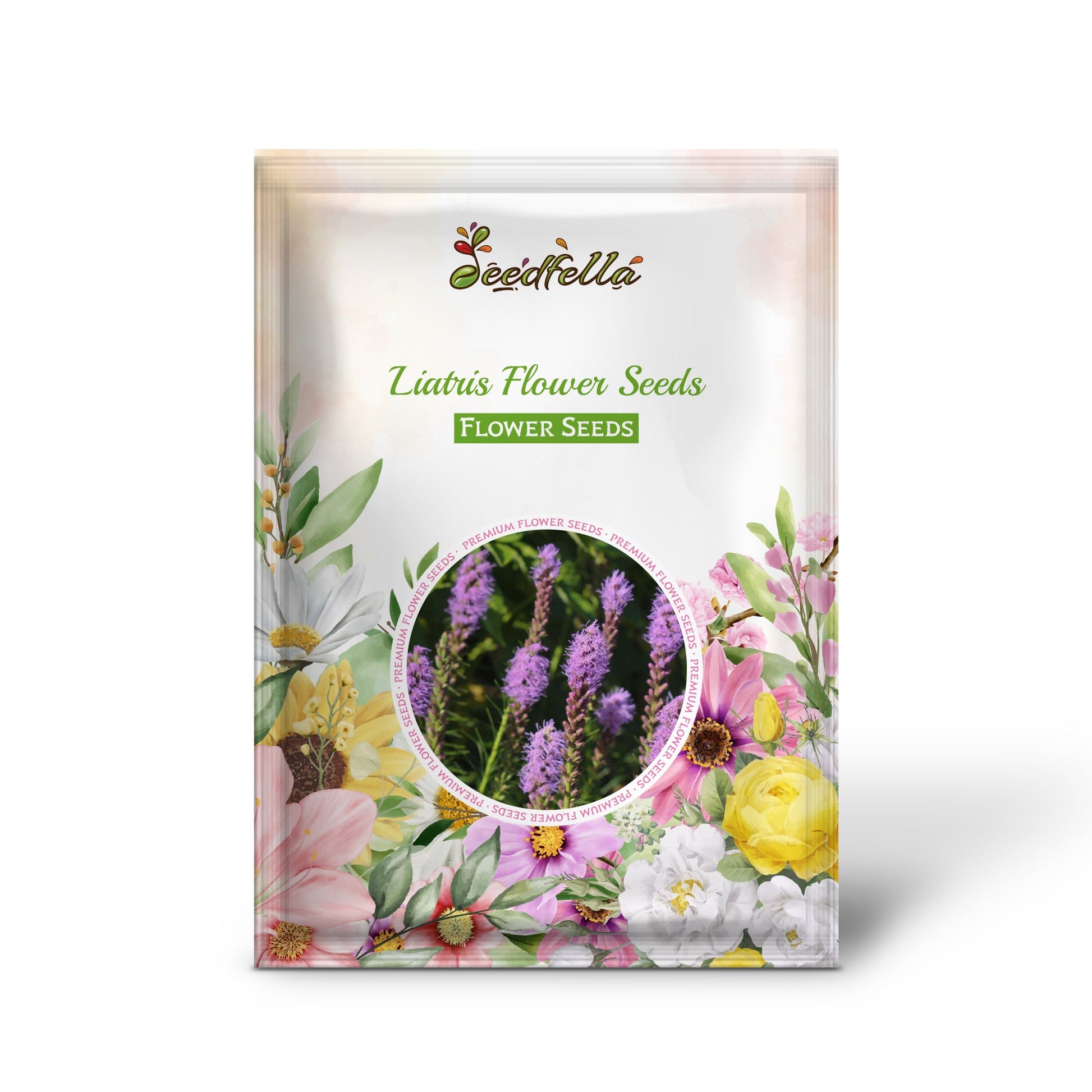 Liatris Flower Seeds for Planting  Vibrant Perennial Blooms